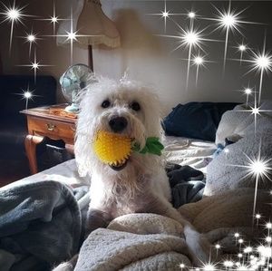 Meet your Posher, Barnaby